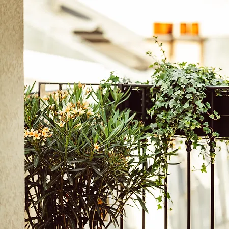 Monsieur Aristide מלון פריז