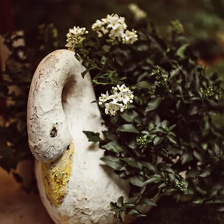 Monsieur Aristide 4*