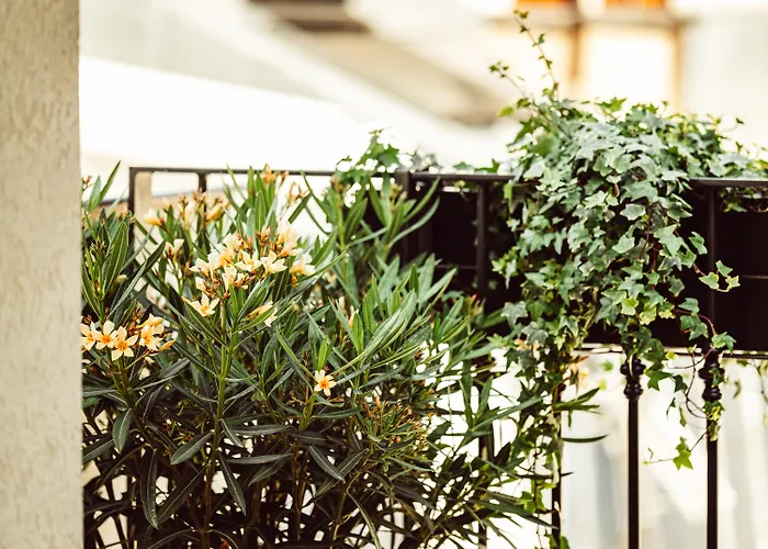 Monsieur Aristide ホテル パリ